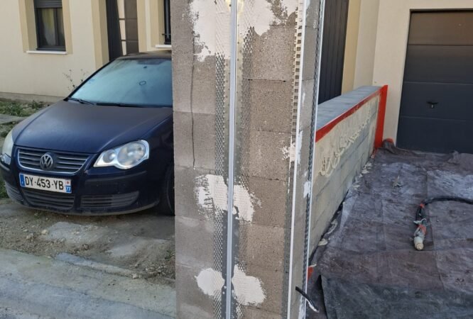 Nettoyage des mousses et salissures sur façade